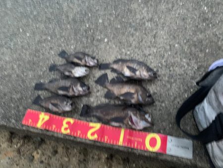 ナイトメバリング〜(๑˃̵ᴗ˂̵)