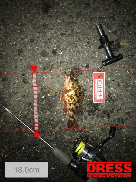 3月2日やっとキャッチ