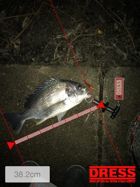 3月11日キビレゲーム