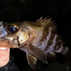 壁際についてるやつ