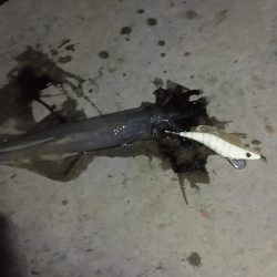 ラストチャンス