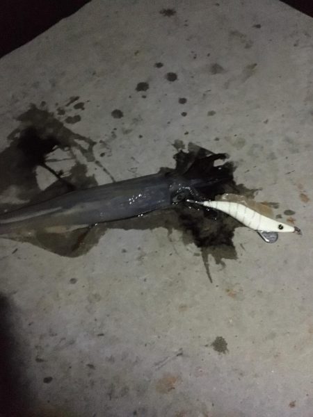 ラストチャンス