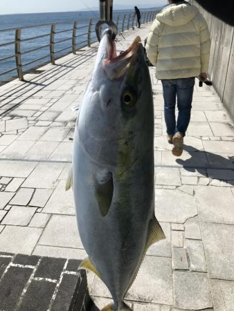 撃投ジグでブリ!!