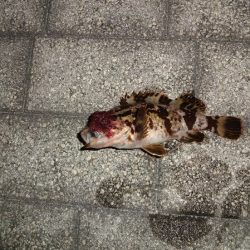 まだまだ修行が必要