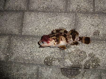 まだまだ修行が必要