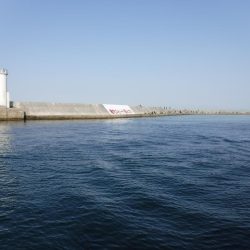 メバリングでベラ・ガシラ・アジ・メバル