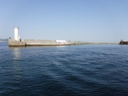 メバリングでベラ・ガシラ・アジ・メバル