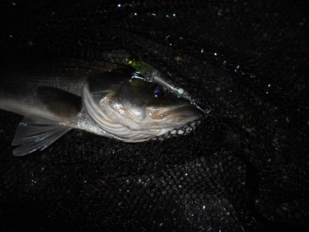 ソリッドティップでないと厳しい…。