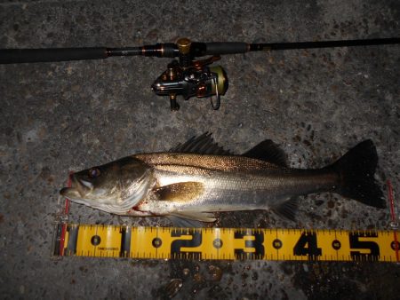 スレたらソリッドクリアの出番♪