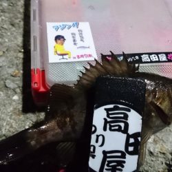 アミパターン！！