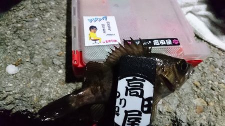 アミパターン！！