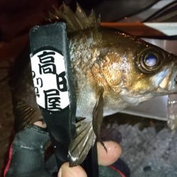 今夜もハード系