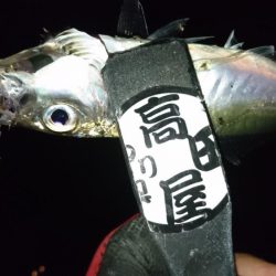 ボトムべったり！！