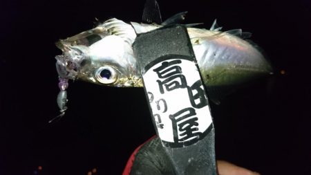 ボトムべったり！！