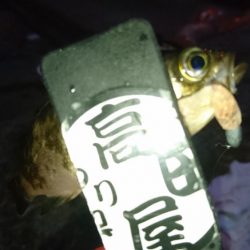 今夜はシャッド！！