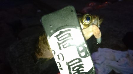 今夜はシャッド！！