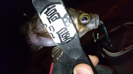 今夜もメタルメバリング！！