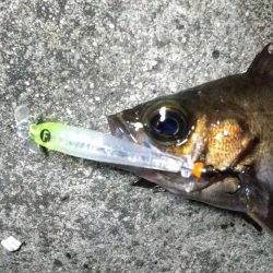 爆風の常夜灯まわり