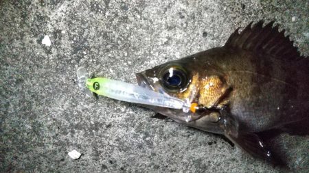 爆風の常夜灯まわり