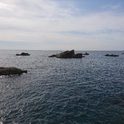 安指でグレ釣り？