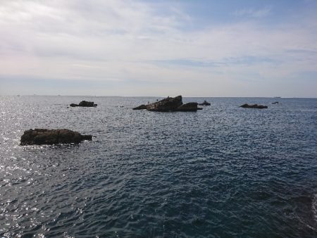 安指でグレ釣り？