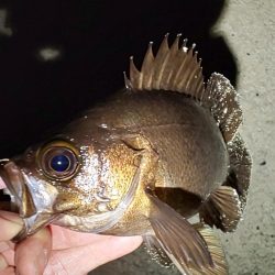 困った時のガルプ頼み