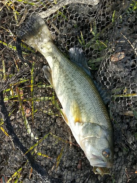 早春の青野ダム調査！