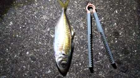 やや大きめアジゲット