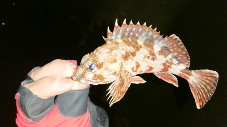 食欲ないのかな？