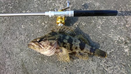 穴釣りも活性上がってきた？