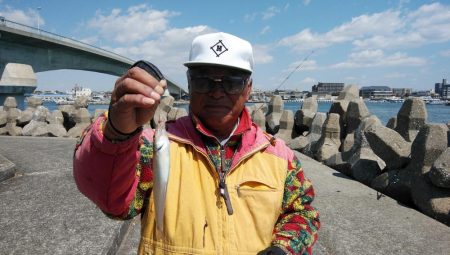 東二見へキス狙い