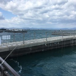 暴風のチヌ釣り