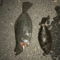 初サーフで良型のヒラメ