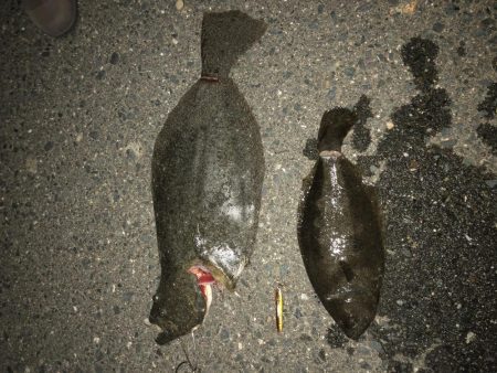 初サーフで良型のヒラメ
