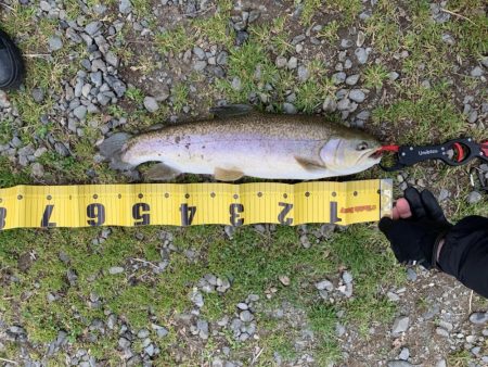 王禅寺フィッシュ