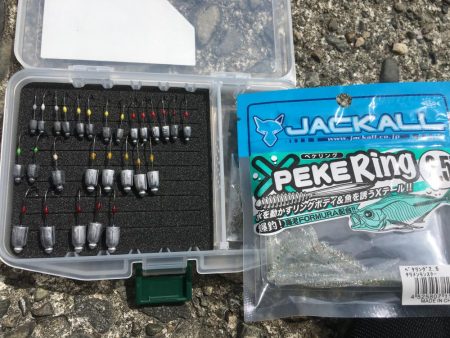 偶然にも出会えました