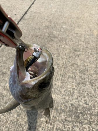 ここにおったんかい！！