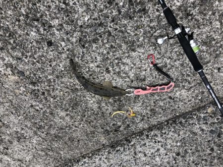 ショアタイラバ