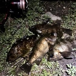 次こそ本気出す！！