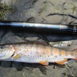 地元の渓谷にて