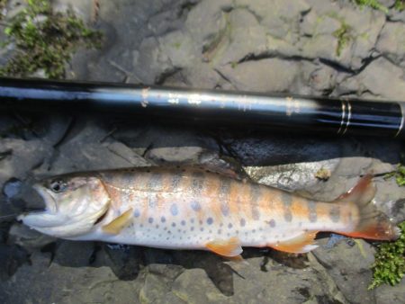 地元の渓谷にて