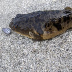 初めての小島漁港 快晴