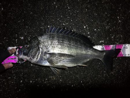 南港へち釣行 （2020/03/02 南港…