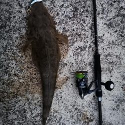 メタルマルでマゴチ