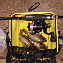 ニュータックルにて