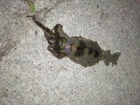 高プレッシャーでの一杯