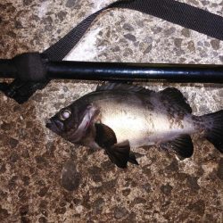 ハードでいくぜ