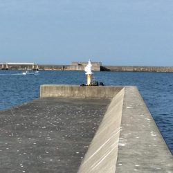 フカセが一番・・面白いです・・チヌ・・