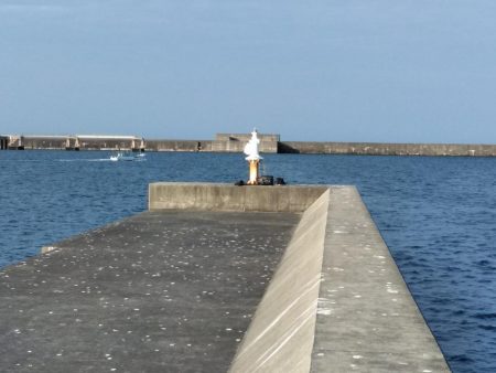 フカセが一番・・面白いです・・チヌ・・