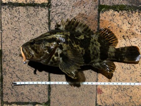 （ほぼ）尺⁉︎ タケノコ自己…